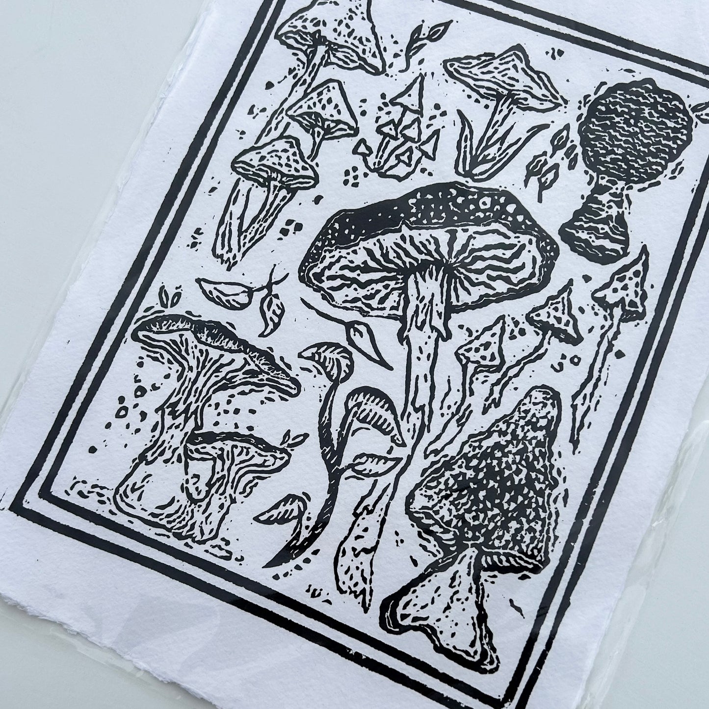 mushroom collection print