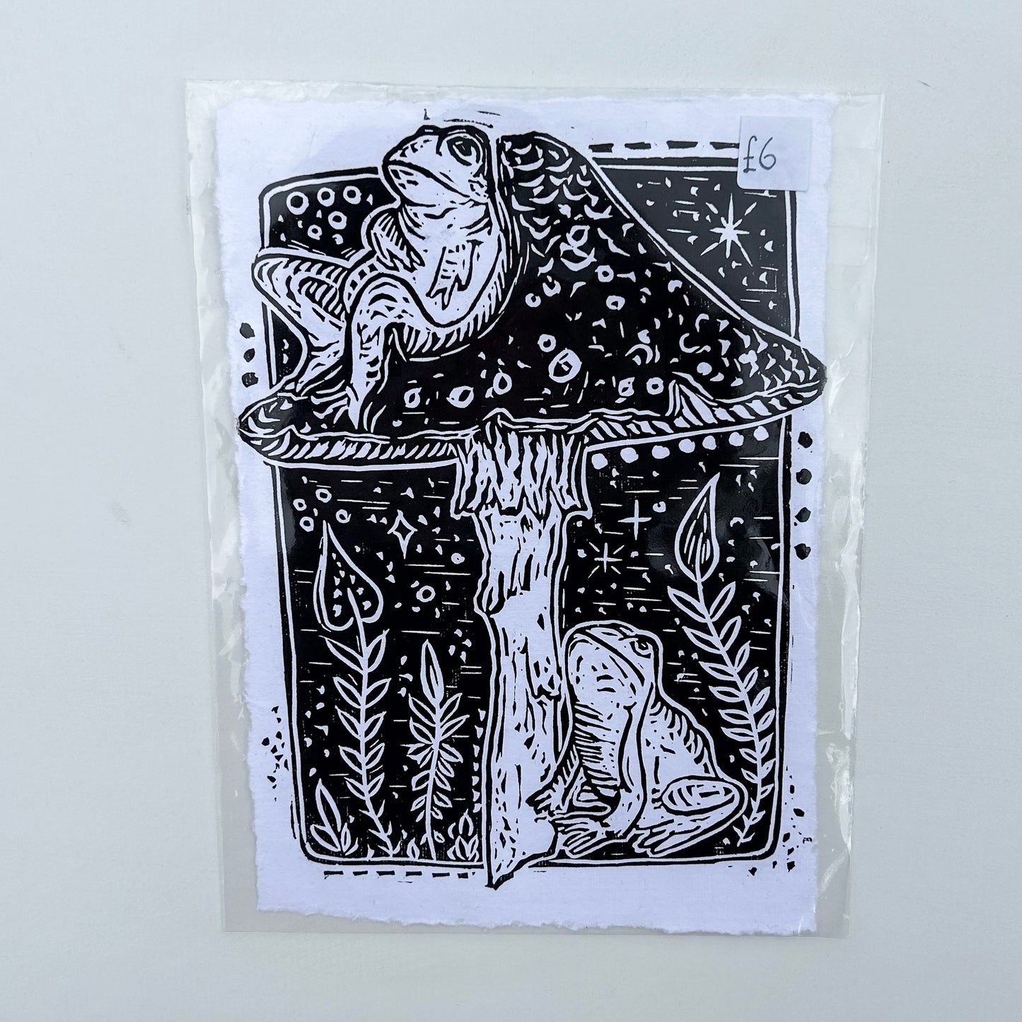 stargazers print